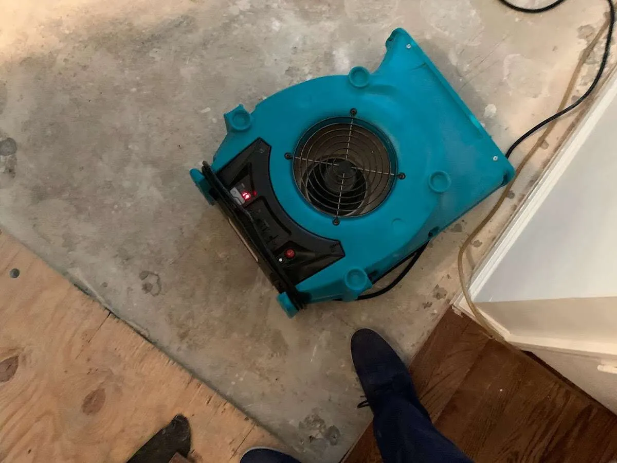 Air mover drying subfloor during Leak Detection & Repair in Malverne
